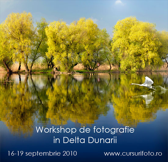 curs fotografie